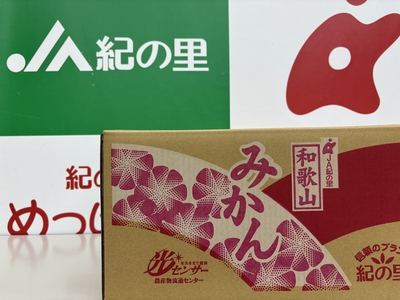 【お歳暮】めっけのみかん箱　（約１０ｋｇ）【順次発送】