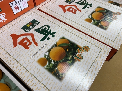 【順次発送】はるみ　化粧箱（12玉～18玉入）【送料無料】