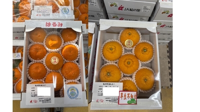 【順次発送】2箱選べるめっけもん箱セット【送料無料】