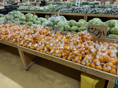 せとか　1袋　約500ｇ　送料区分【1】