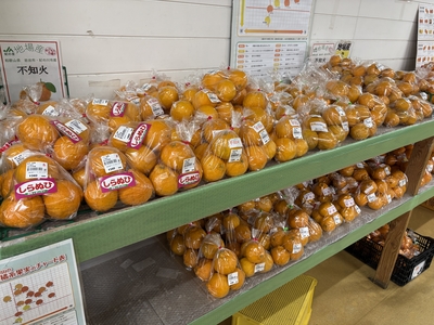 しらぬひ　1袋（約700 g）送料区分【1】