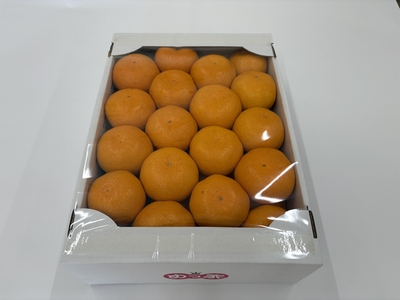 【お歳暮】産地直送！めっけのみかん2箱セット【順次発送】