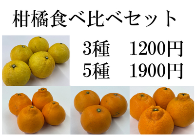 旬の柑橘食べ比べセット　送料区分【5】