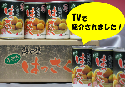 八朔缶詰　１ケース（８缶入）１缶２４０ｇ　送料区分【5】