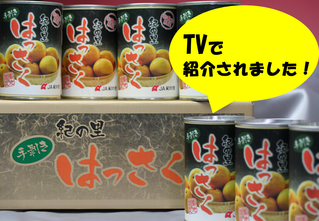 八朔缶詰 1ケース（8缶入）1缶240g 送料区分【5】 | めっけもん