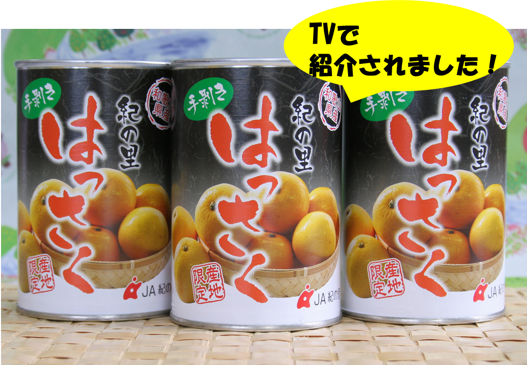 はっさくん はっさく缶詰 1缶 240g 送料区分【1】 | めっけもん広場通販サイト