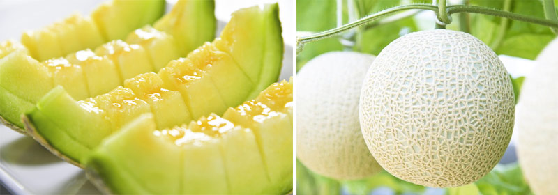 特選 マスクメロン1玉箱入り1 6kg以上 一果相伝マスクメロン