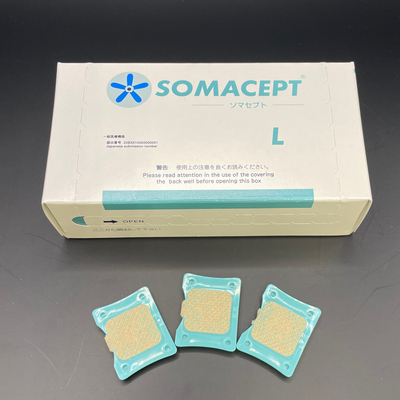 ソマセプトL 100個入り × 5箱セット 【公式通販】