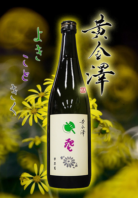 黄金澤(こがねさわ) 純米大吟醸　斧琴菊(よきこときく) 720ml