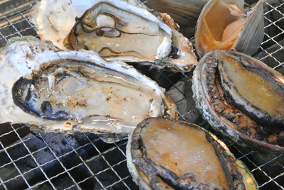 活き活き貝５点セット 房総の蔵お百姓市場