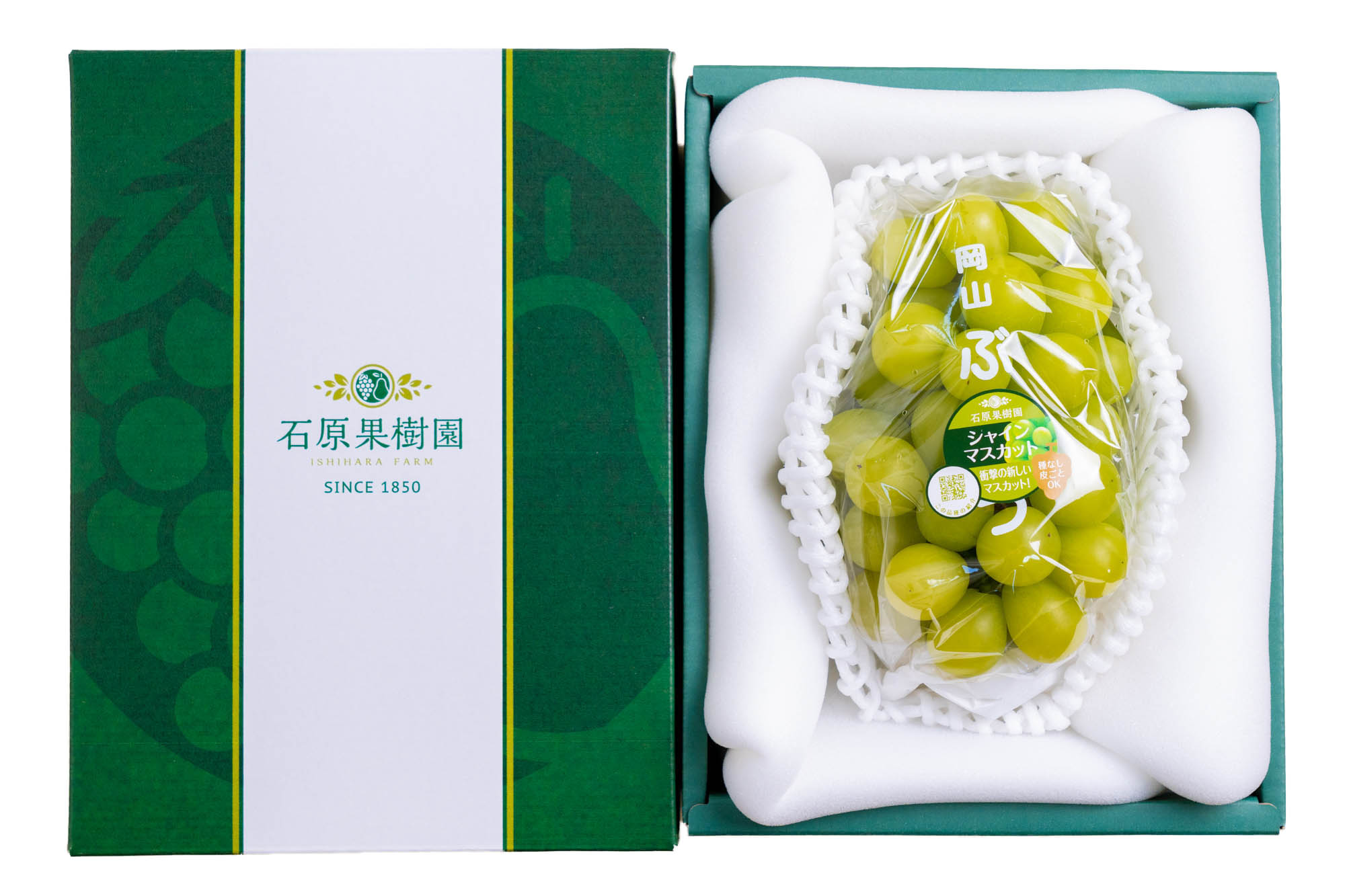 シャインマスカット1房箱（1房600gから699g） | 石原果樹園ネットショップ