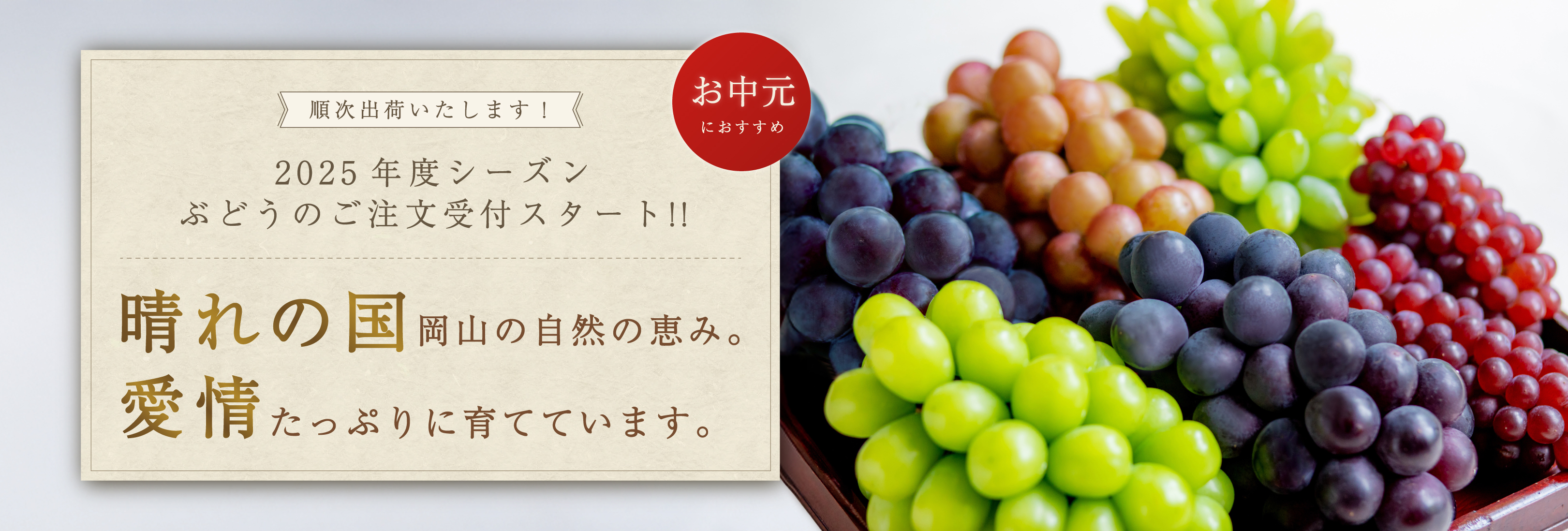 7月下旬よりご予約受付スタート※ぶどうの成熟によって前後します　晴れの国岡山の自然の恵み。愛情たっぷりに育てています。
