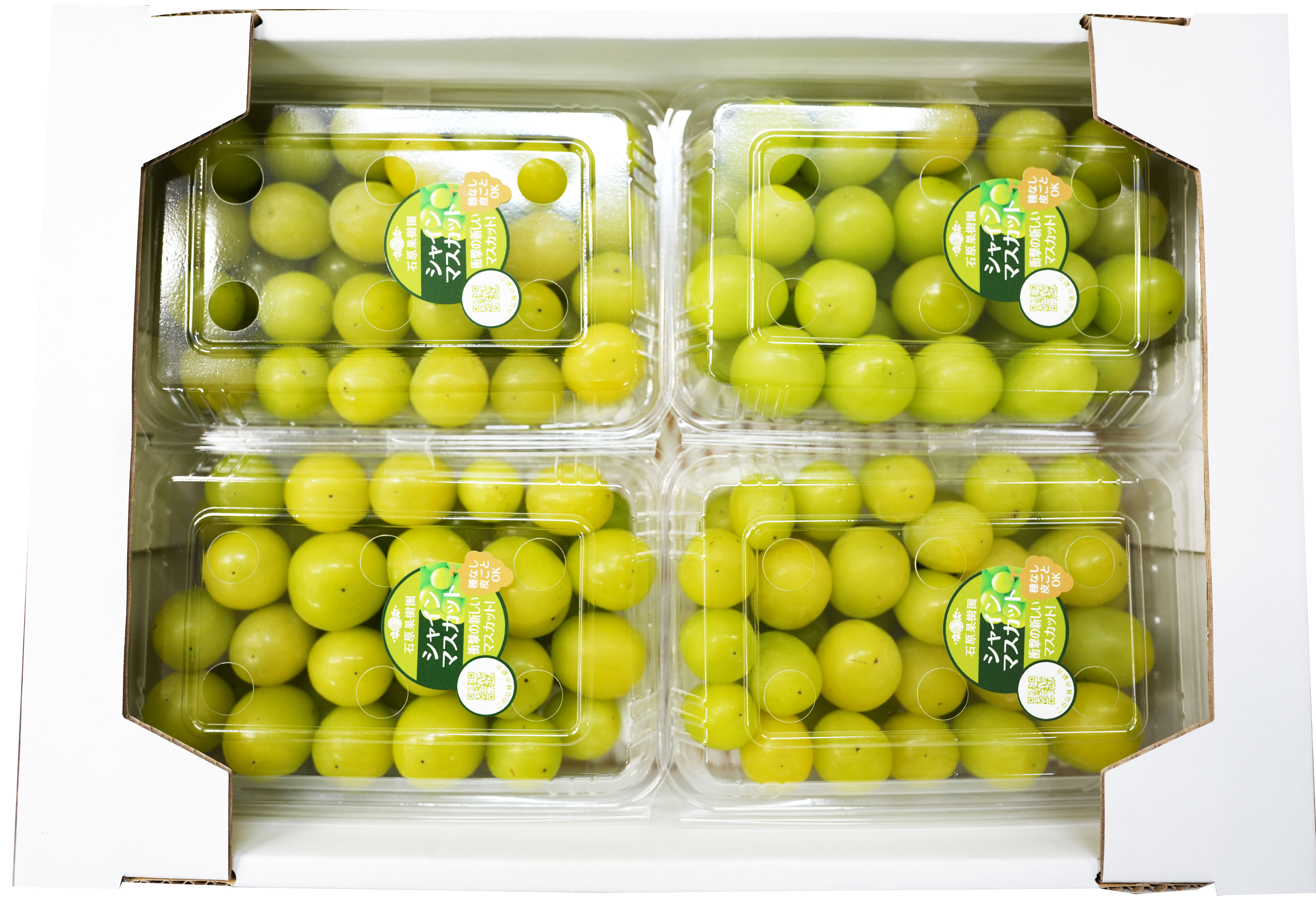 パック箱 シャインマスカット4P | 石原果樹園ネットショップ