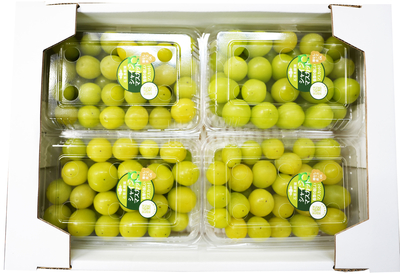 パック箱 シャインマスカット4P