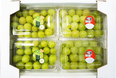 パック箱 シャインマスカット2P・桃太郎ぶどう2P 