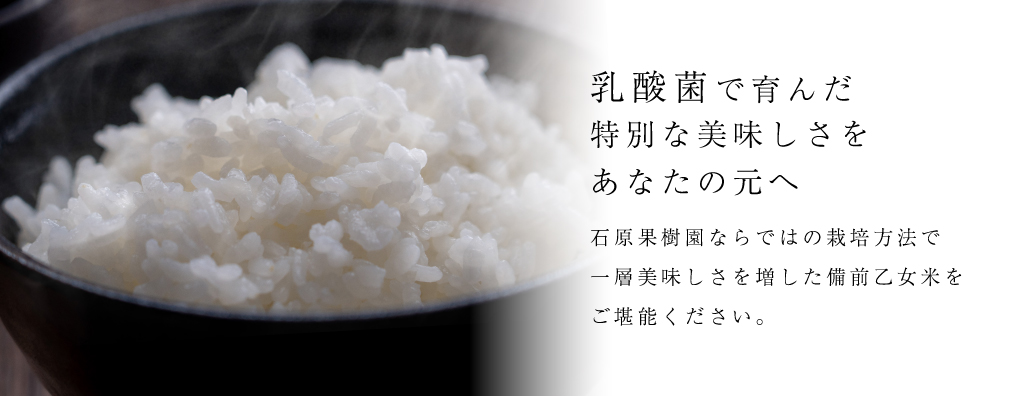 乳酸菌で育んだ別な美味しさをあなたの元へ | 石原果樹園ならではの栽培方法で一層美味しさを増した美禅乙女枚をご堪能ください。