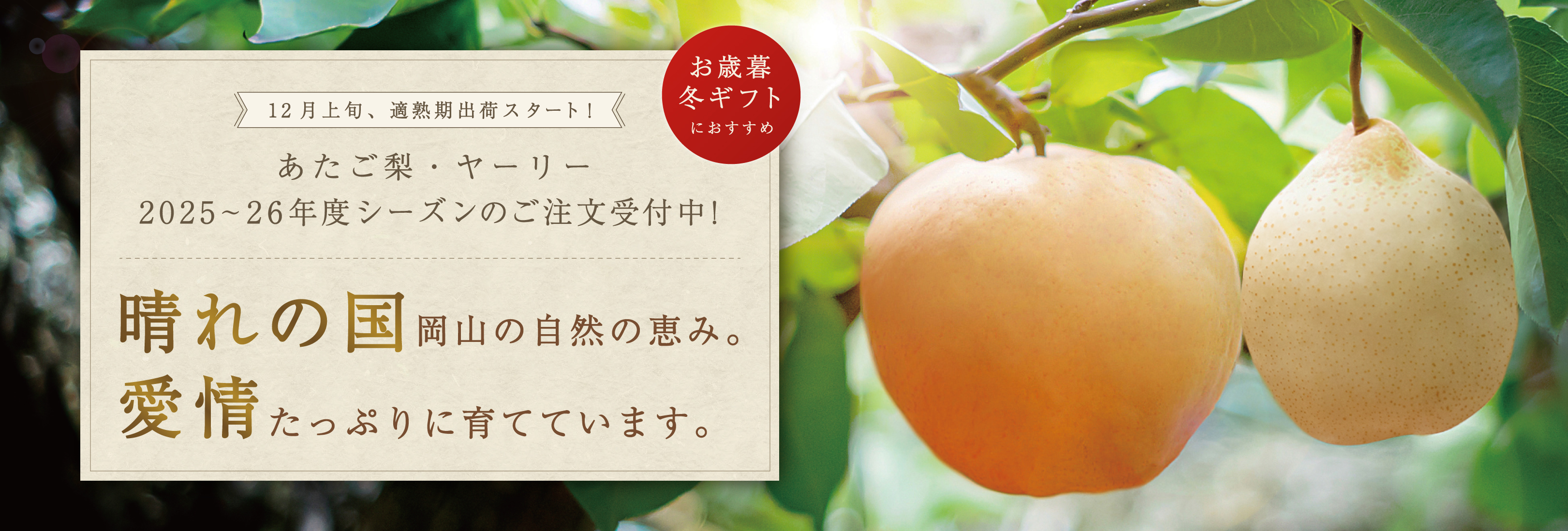 晴れの国岡山の自然の恵み。愛情たっぷりに育てています。