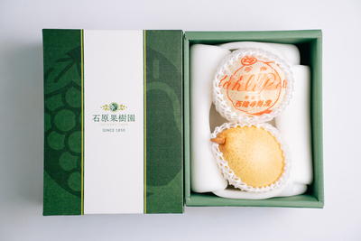 贈答箱 ヤーリー2玉入り