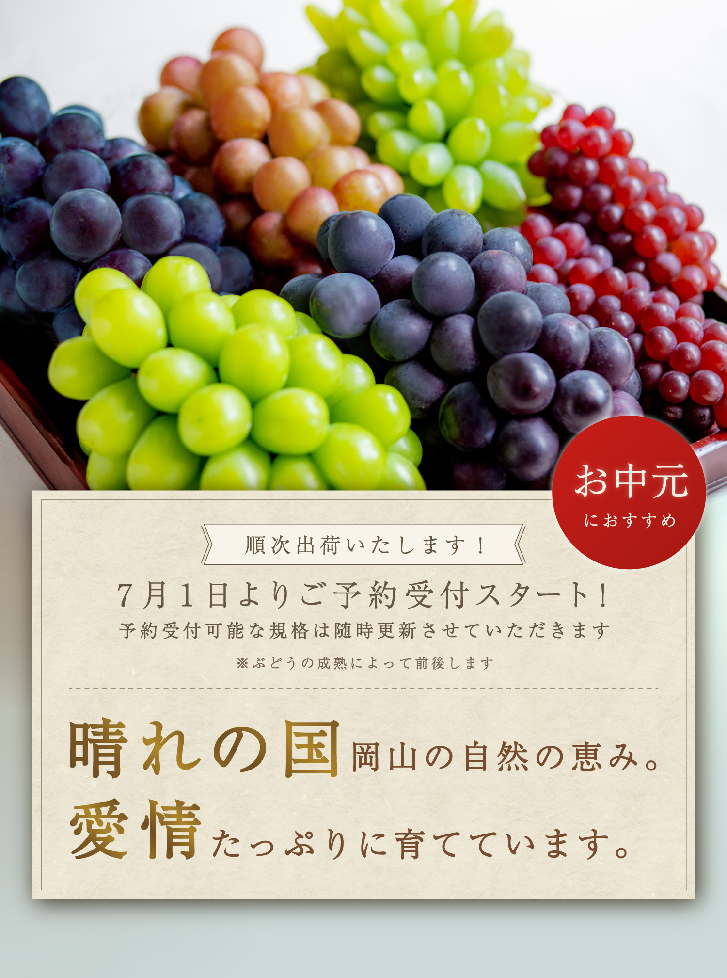 晴れの国岡山の自然の恵み。愛情たっぷりに育てています。