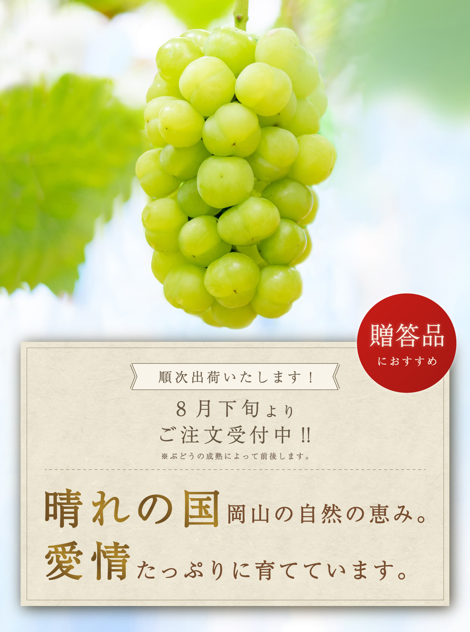 晴れの国岡山の自然の恵み。愛情たっぷりに育てています。
