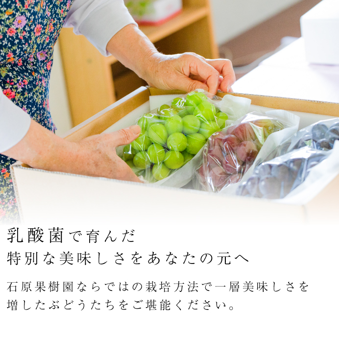 乳酸菌で育んだ別な美味しさをあなたの元へ | 石原果樹園ならではの栽培方法で一層美味しさを増した美禅乙女枚をご堪能ください。