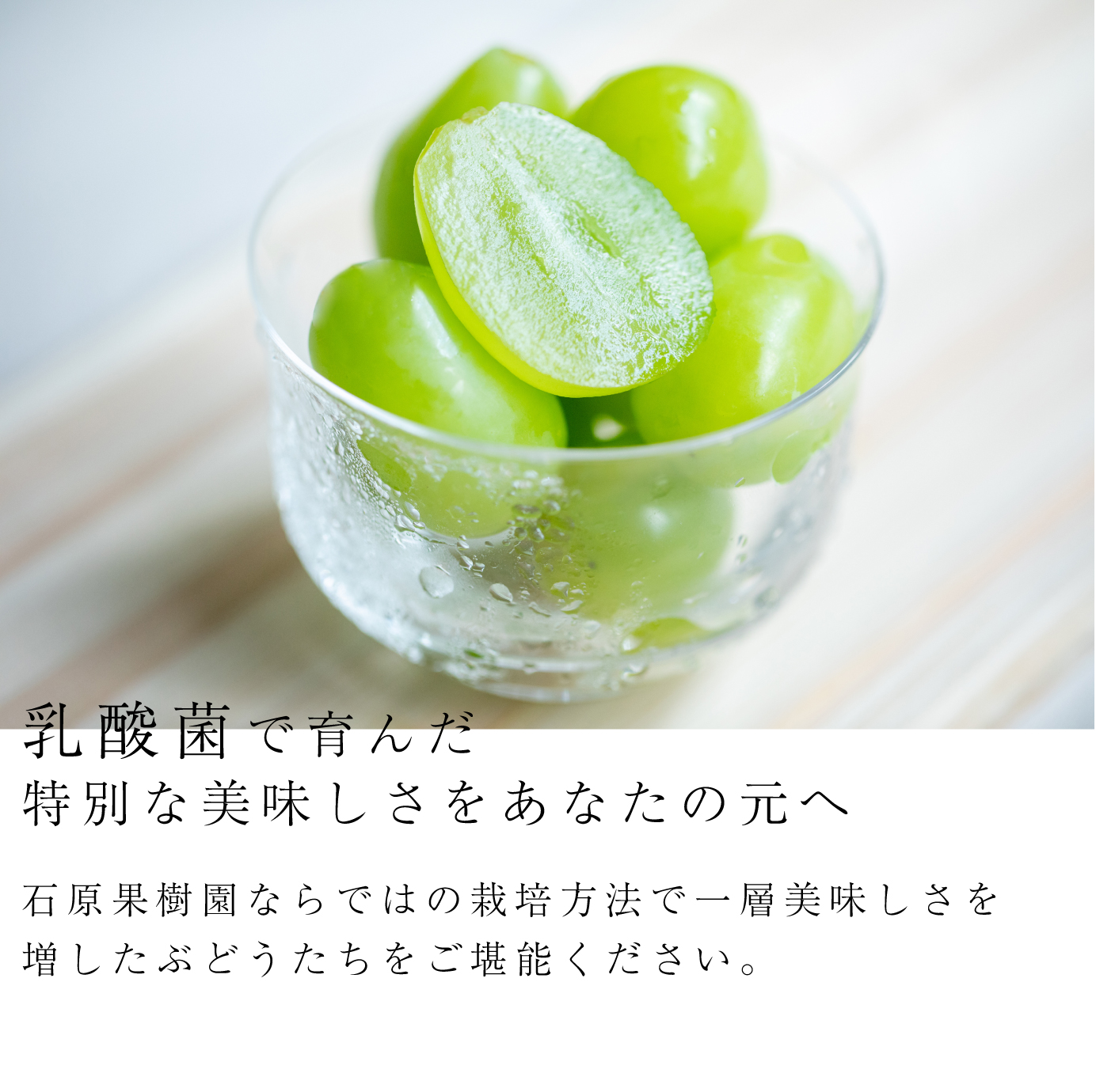 乳酸菌で育んだ特別な美味しさをあなたの元へ。石原果樹園ならではの栽培方法で一層美味しさを増したぶどうたちをご堪能ください。