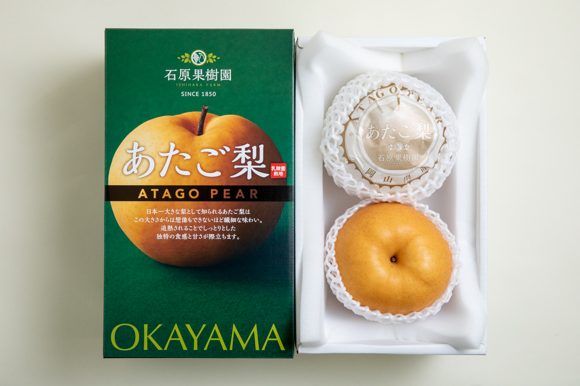 化粧贈答箱あたご梨2玉(約800g玉) | 石原果樹園ネットショップ