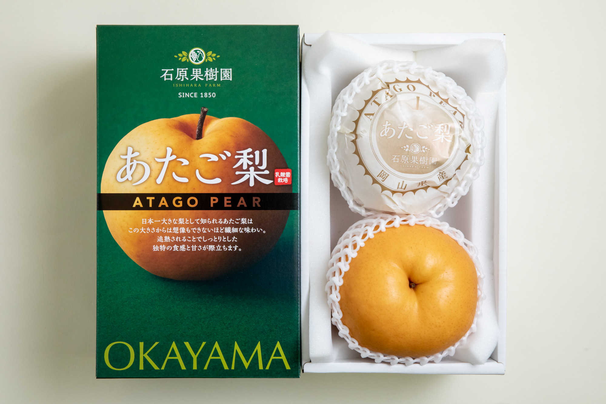 化粧贈答箱あたご梨2玉赤秀(約1.1Kg玉) | 石原果樹園ネットショップ