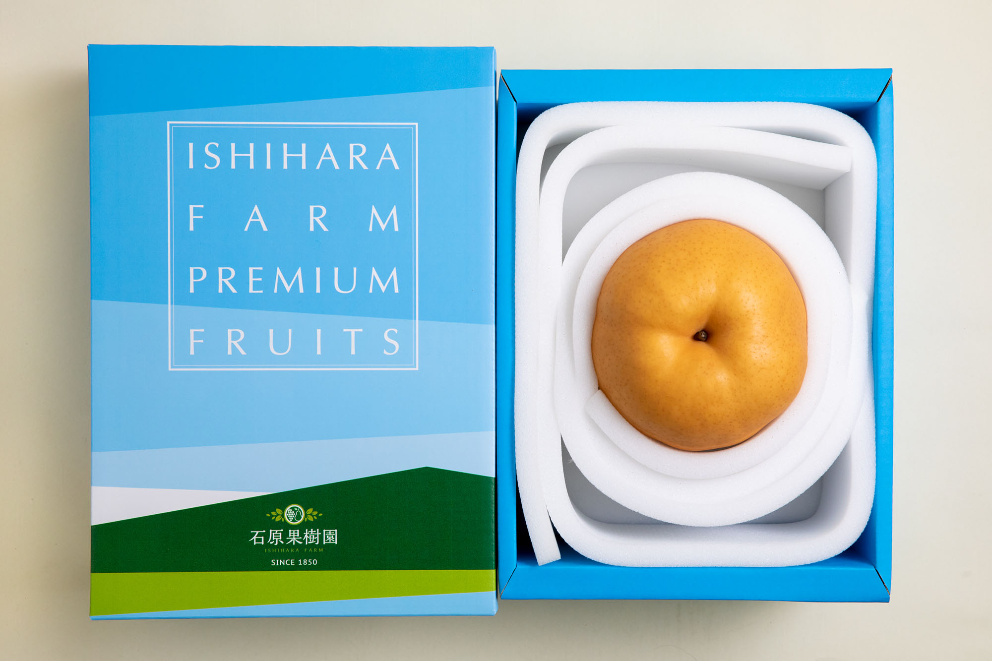 備前横綱梨(希少超大玉あたご梨1玉1.4～1.5Kg) | 石原果樹園ネットショップ