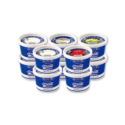 【直送商品】木村ミルクプラント ジェラートセット