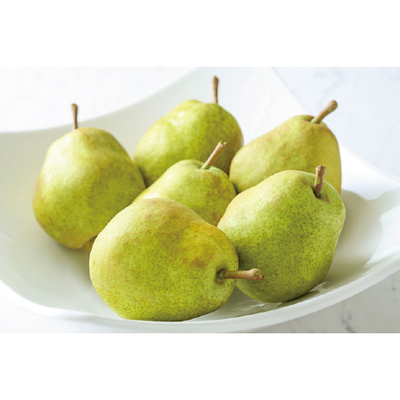 【直送商品】サン・フルーツ　山形 ラ・フランス（UYL40）　IL 2603 730