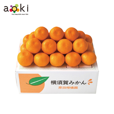 【直送商品】フルーツショップ青木　横須賀みかん 2.5kg（fsfg07）　IL 4409 730