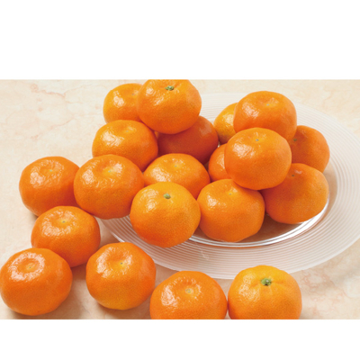 【直送商品】サン・フルーツ　愛媛みかん（UEM35）　IL 4505 730