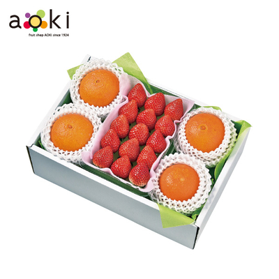 【直送商品】フルーツショップ青木　冬の贈り物フルーツギフトuK（fsfg03）　IL 4401 731