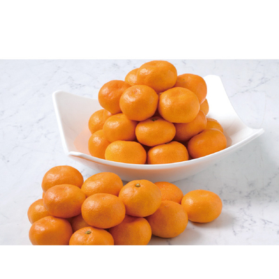 【直送商品】サン・フルーツ　愛媛みかん（UEM55）　IL 4506 730