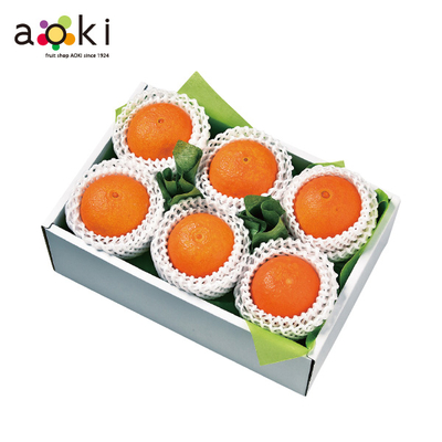 【直送商品】フルーツショップ青木　紅まどんな 1.2kg（fsfg01）　IL 4407 730