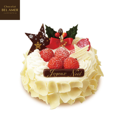 ［ショコラ ベル アメール］ノエルネージュ　4号