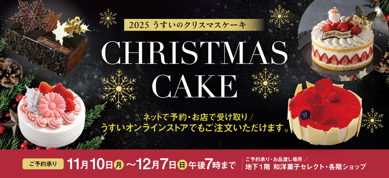 クリスマスケーキ2025