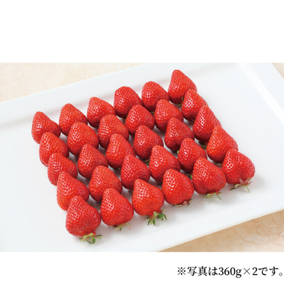 【直送商品】サン・フルーツ　博多あまおう