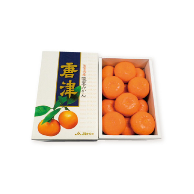 【直送商品】大田市場万浦　佐賀　唐津ハウスみかん　SL-4511-730