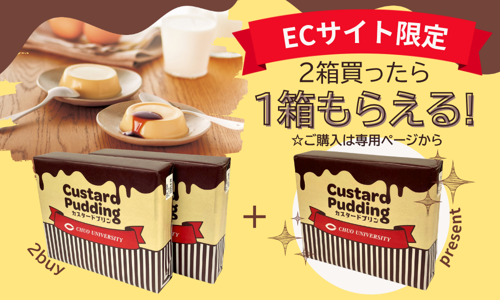 ECサイト限定セット（中大カスタードプリン）