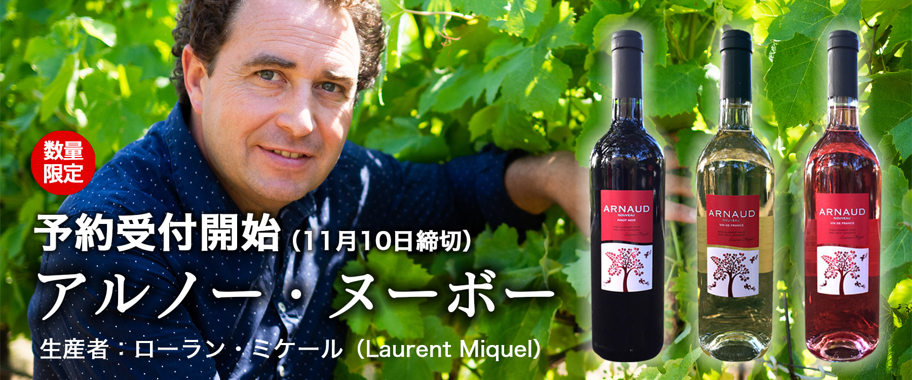 【ワイン】アルノー・ヌーボー 予約商品の通販