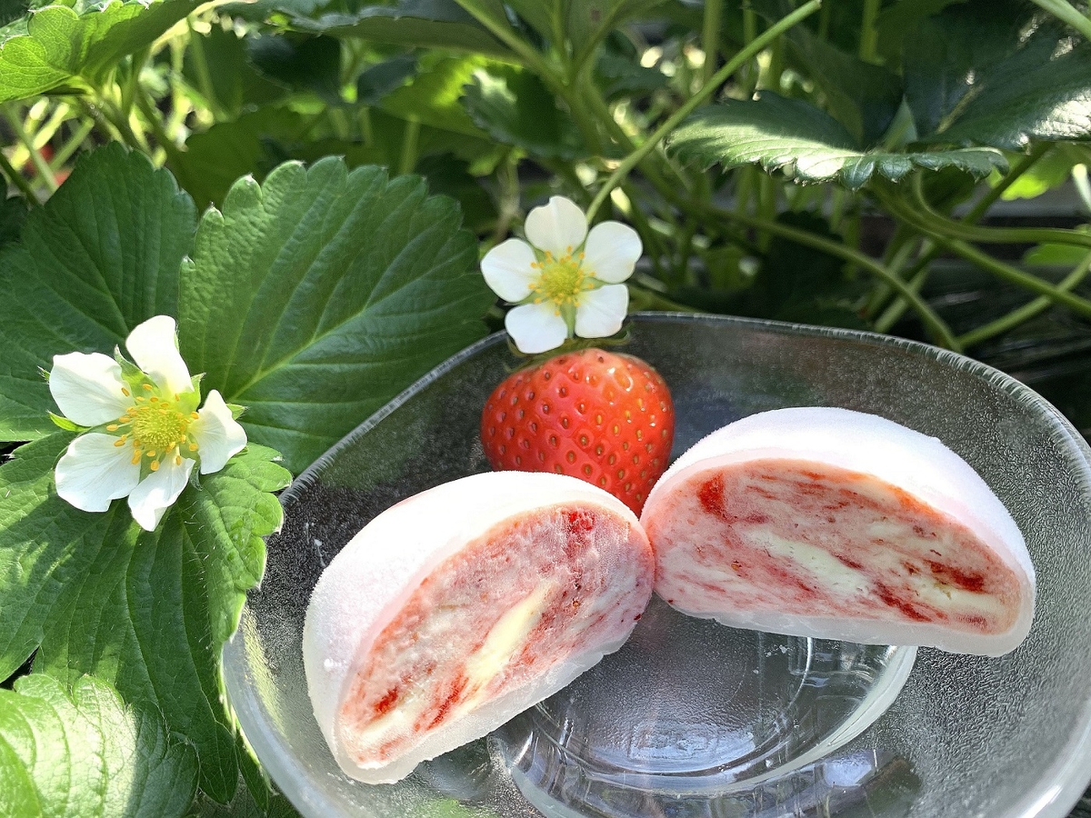 いちごアイス大福 6個入り【送料無料】 | さぬき農園ぐらしショップ