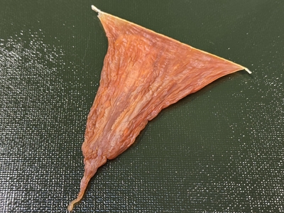 干しこのこ（くちこ）　1枚