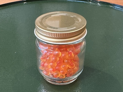 いくら（北海道）手揉み薄塩仕立て　50g