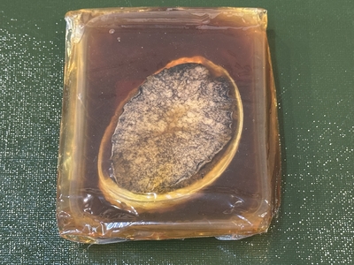 黒あわびの煮貝　130g