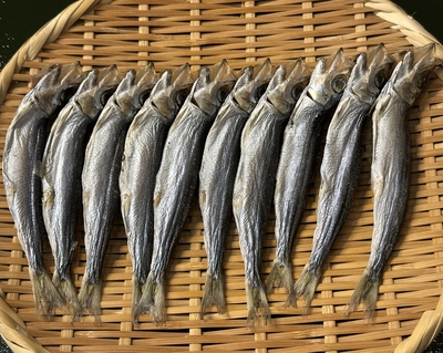 国産　若干しうるめ１連