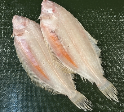 島根産　柳かれい小一夜干し1枚