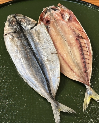 国産　むろあじ開き　1枚