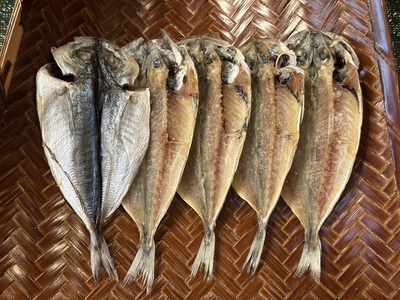 国産　豆あじ開き　5枚